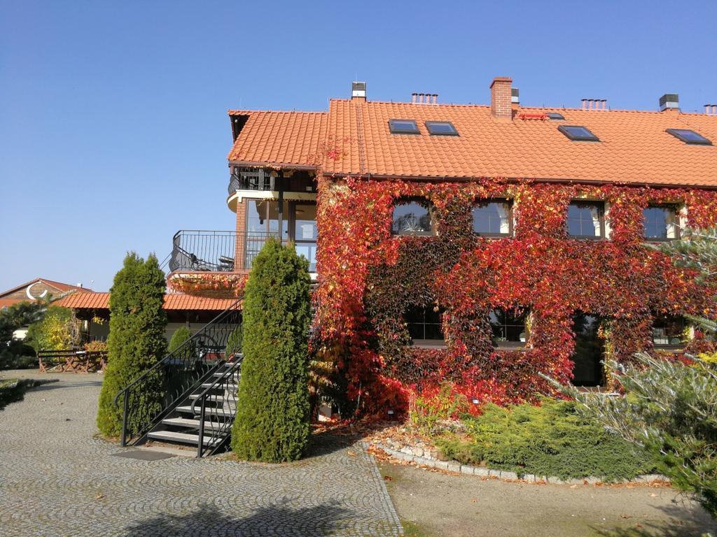 Villa Podkowa Modliszów Exterior foto